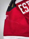Aurora Panthers 25th Anniversary Hockey Jersey (XL)