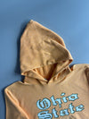 Champion Ohio State Hoodie (XL)