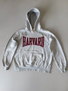 ZSuper Premium Hoodie (S/M)