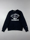 Champion Delaware 1953 Phys. Ed. Varsity Crewneck Sweatshirt (M)