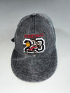 Vintage Washed Grey Basketball 23 Cap – Looney Tunes Wile E. Coyote Embroidery (Adjustable)