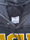 Champion GCU Graphic Pullover Hoodie (M)