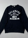 Champion Delaware 1953 Phys. Ed. Varsity Crewneck Sweatshirt (M)