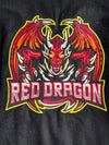 Premium Dragon Embroidered Varsity Jacket With Leather Sleeves (M/L)