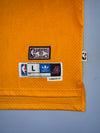 Adidas NBA LA Lakers #32 Magic Johnson Hardwood Classics Jersey (XL)