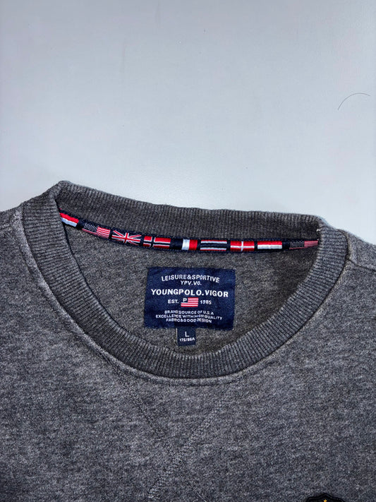Young Polo Vigor | Colorblock Crewneck Grey | (M)