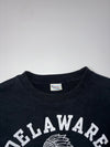 Champion Delaware 1953 Phys. Ed. Varsity Crewneck Sweatshirt (M)