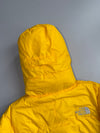 The North Face Summit Series 800-Fill Down Feather Expedition Jacket (L)