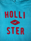 Hollister Embroidered Logo Hoodie (S)