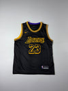Nike | Lakers LeBron #23 Black Mamba Swingman Jersey (XL)