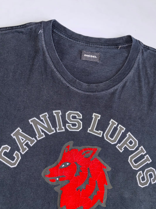 Diesel “Canis Lupus — Proud and Free Liberty Tour ’78” Vintage Washed Graphic T-Shirt (M)