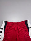 Jordan Dri-Fit Basketball Shorts (W:35) (L:22)