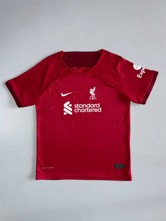 Nike Liverpool FC 2022/23 Home Jersey Red Dri-Fit ADV | Standard Chartered (S)