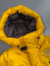 The North Face Summit Series 800-Fill Down Feather Expedition Jacket (L)