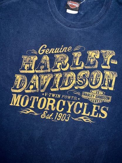 !                                                                            Harley Davidson Original Vintage tee (L) can fit M also