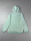Champion Mint Green Pullover Hoodie (M)