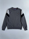 Young Polo Vigor | Colorblock Crewneck Grey | (M)