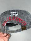 Vintage Washed Grey Basketball 23 Cap – Looney Tunes Wile E. Coyote Embroidery (Adjustable)