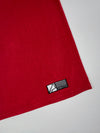 Alpinestars Red Graphic Logo T-Shirt – Big Front Print (2XL/3XL)