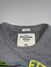 Abercrombie & Fitch Grey Headdress Graphic Long Sleeve Tee (L)