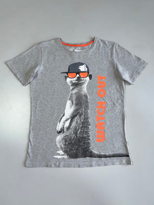 Premium Vintage T-shirt (S)