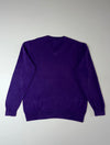 Lacoste Cotton V-Neck Sweater – Royal Purple (XL)