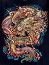 Vintage Rock Eagle | Dragon Graphic (M)