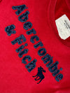 Abercrombie & Fitch Chenille Spellout Long Sleeve Tee Red Men’s (L)