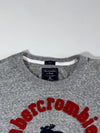 Abercrombie & Fitch Appliqué Arch Logo Moose Long Sleeve Tee – Heather (2XL)