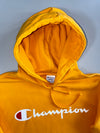 Champion | Script Logo Powerblend Hoodie (M)