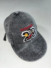 Vintage Washed Grey Basketball 23 Cap – Looney Tunes Wile E. Coyote Embroidery (Adjustable)