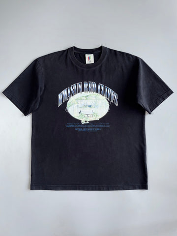 Vintage Premium Original Graphic Printed T-Shirt (L)