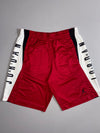 Jordan Dri-Fit Basketball Shorts (W:35) (L:22)