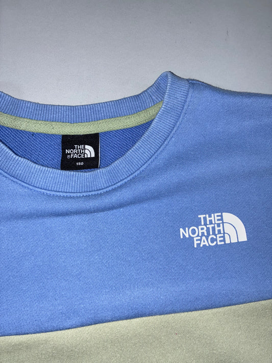 The North Face | Colorblock Crewneck | Blue/Sage (S)