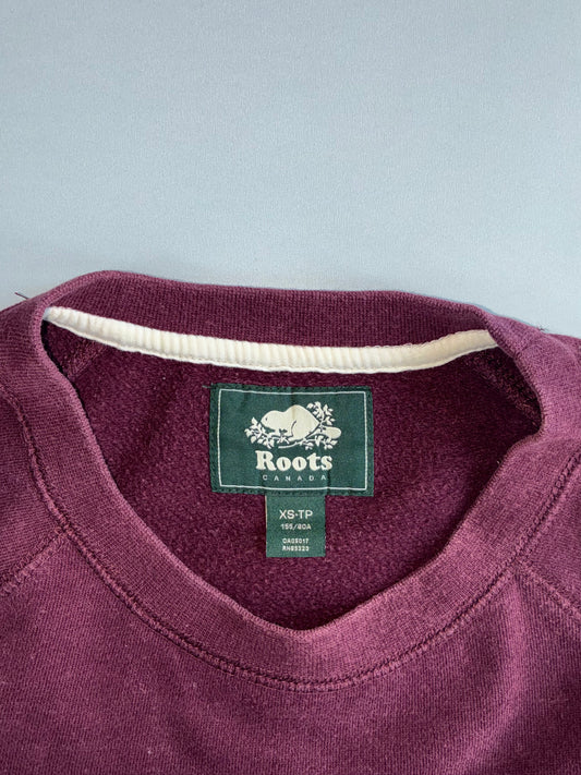 Roots Canada | Athletic Goods Colour-Block Crewneck (S/M)