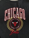 NBA Chicago Bulls Embroidered Crest Black Sweatshirt – (2XL/3XL)