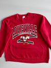 Jerzees Super Sweats | Louisville Cardinals Graphic Crewneck(Xl)