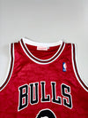 BAPE x Mitchell & Ness NBA Chicago Bulls Hardwood Classics Jersey (M)