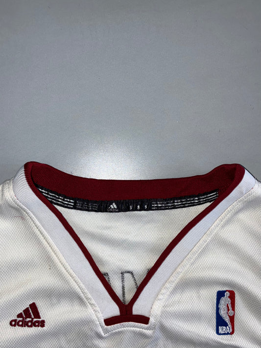 Adidas | NBA Miami Heat LeBron James #6 Jersey White (L)