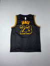 Nike | Lakers LeBron #23 Black Mamba Swingman Jersey (XL)