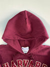 Champion x Harvard Medical School Hoodie Maroon (M)