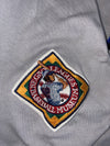 Homestead Grays NLBM Negro League Baseball Jersey – Grey & Black |(4XL)