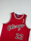 Vintage Champion Chicago Bulls #23 Jordan Script Throwback Jersey – (L)