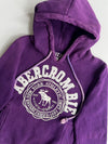 Abercrombie & Fitch Spellout Logo Hoodie (S)