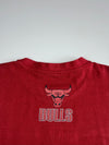 NBA Chicago Bulls Central Division Tee (3XL/4XL)