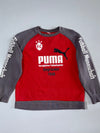 Puma | Fußball Mannschaft Crewneck Sweatshirt Red/Grey | (XS)