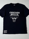 NBA Chicago Bulls Black Tee Bull Head Logo Graphic (XL)