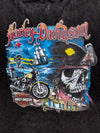 Harley-Davidson | Aruba Pirate Skull Graphic Tee Black | (3XL)