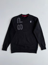 Spyder Embroidered Crewneck Sweatshirt (L)